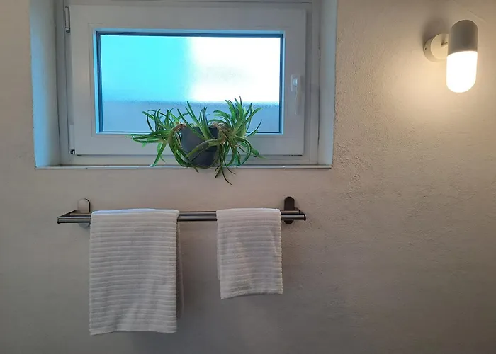 Apartment Souterrain-apartment In Wehlheiden